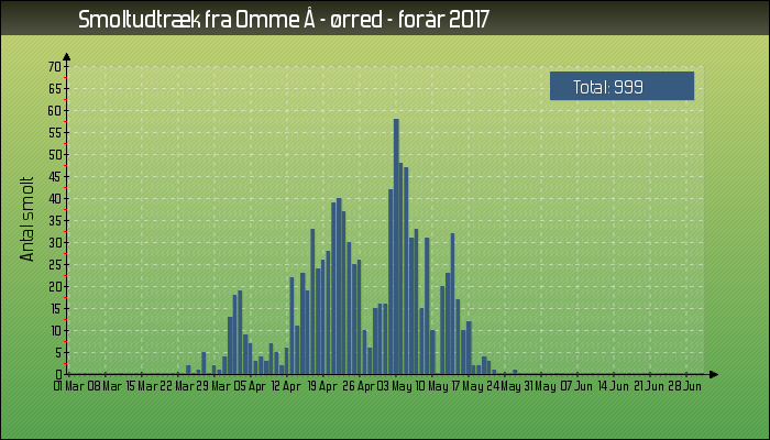 Omme Å udtræk af ørredsmolt i 2017