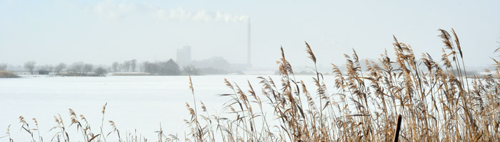 Vinter ved Søgård Sø. Foto: Anders Eriksen