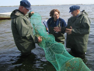 Fritidsfiskere og biolog tømmer ruse for at kortlægge, hvilke fiskearter, der indgår i fangsterne. Foto: Søren Anker Pedersen