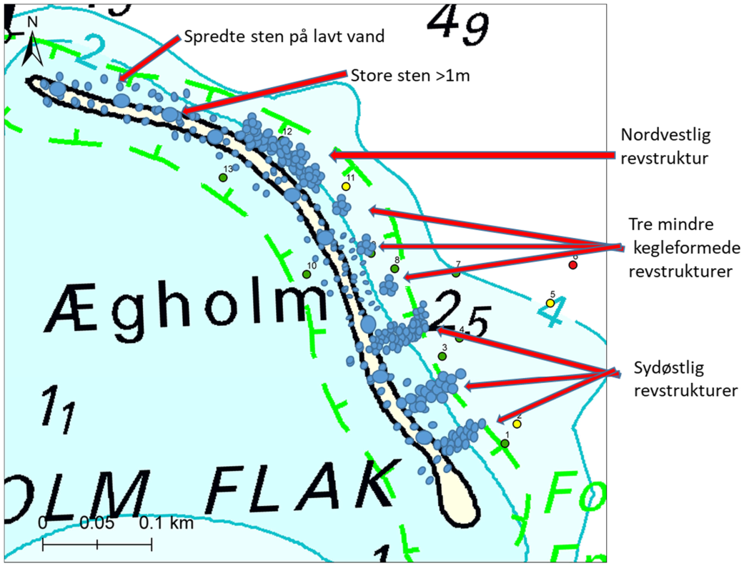 Forslag til udlægning af stenrev ved Ægholm