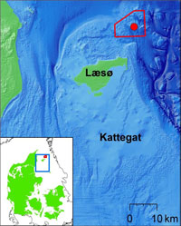 Læsø Trindel