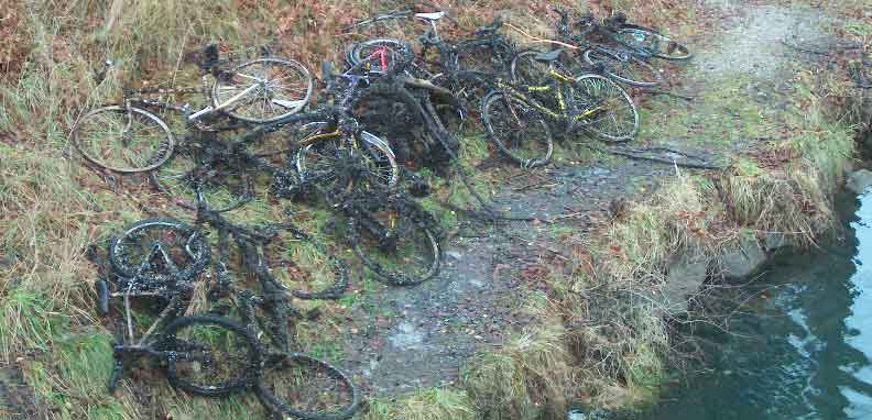 Cykler fanget ved fiskeri med vod. Foto: Fiskeøkologiske Laboratorium
