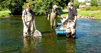 Elektrofiskeri efter naturlig ørredyngel ved Voervadsbro -bemærk det lave vand som giver optimale levebetingelser for fiskeyngel