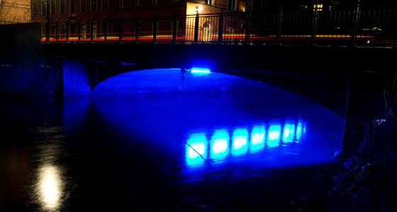 /Lys under vejbroer skaber unaturlige forhold for fisk