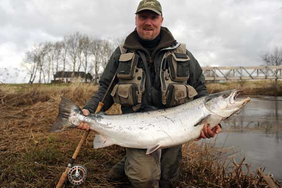 Vestjysk laks på 17 kilo og 118 centimer. Foto: Rasmus Bohnensach