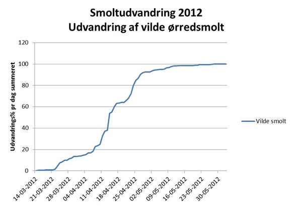 Smoltudvandring 2012 - vilde smolt