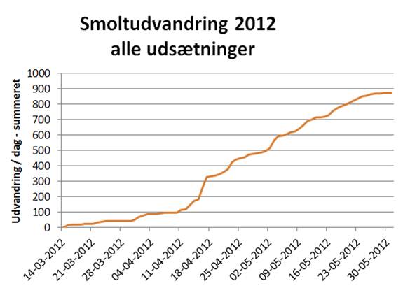 Smoltvandring 2012 - udsatte smolt