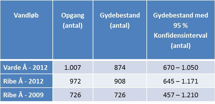 Gydebestand af laks i Varde Å og Ribe Å i 2012