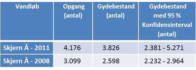 Gydebestand og opgang af laks i Skjern Å i 2008 og 2011