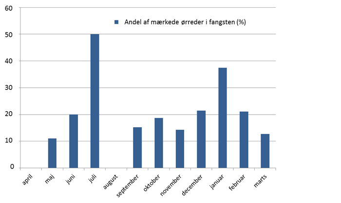 Ørredfangst i Isefjorden