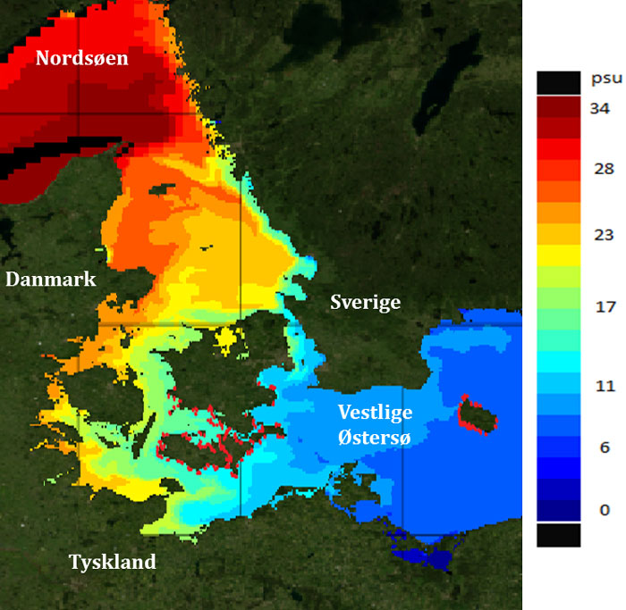 Udbredelsen af sortmundet kutling. Kilde: Azour et al.