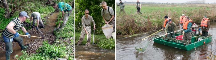 Vandløbsrestaurering - Elektrofiskeri - Kurser DTU Aqua