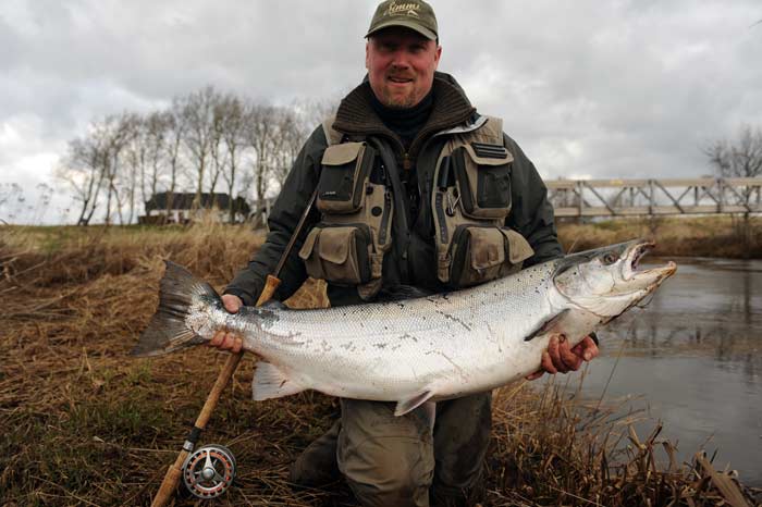 Storlaks på 17 kilo fra Varde Å. Foto Rasmus Bohnensach.  