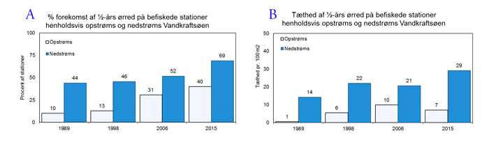 Status for ørredbestanden i Storå’s vandløb 1989-2015