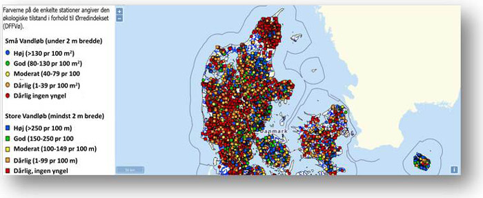 Ørredkortet viser forekomsten af naturlig produceret ørredyngel.