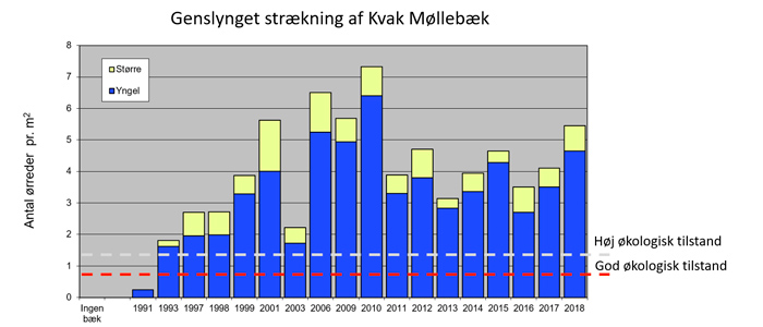 Genslyning af Kvak Møllebæk gav flere fisk