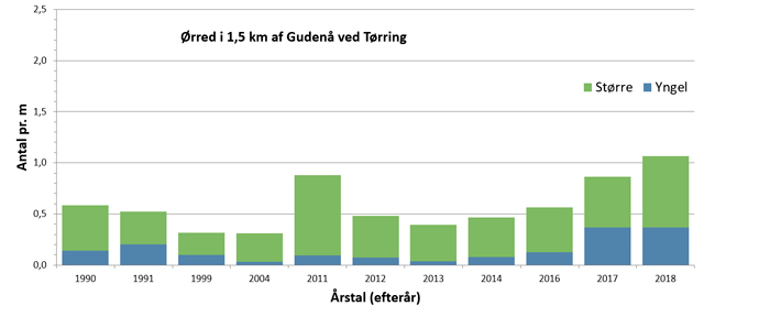 Bestandstætheden af ørred i Gudenåen ved Tørring siden 1990.