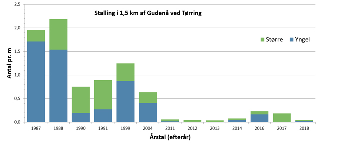 Bestandstætheden af stalling i Gudenåen ved Tørring siden 1987.