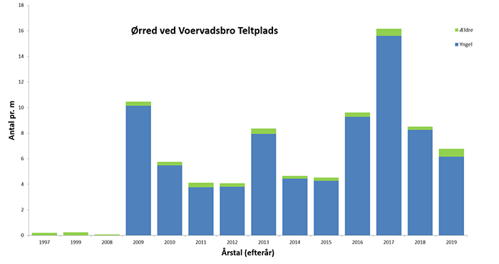 Tæthed af ørred ved Vilholt opdelt i yngel og ældre fisk. 