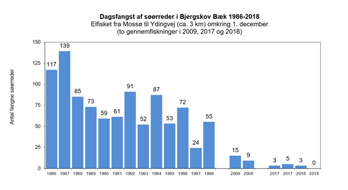 Søørreden er i Bjergskov Bæk gået tilbage