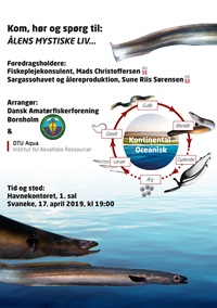 Plakat for foredrag om ål 17. april 2019 i Svaneke