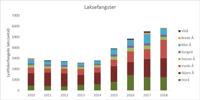 Laksefangster 2010-2018. Fangster for de enkelte år viser den samlede fangst af både hjemtagne og genudsatte laks i de enkelte vandløb.