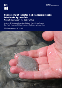 Forsiden af Nøglefiskerrapporten 2019-2019