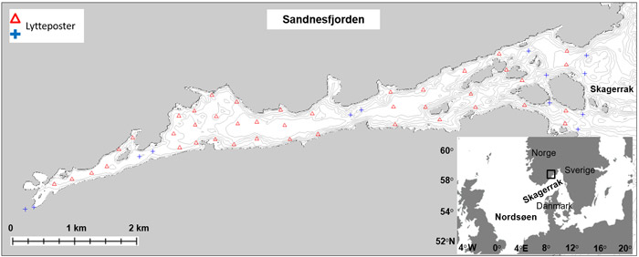 Kort over Sandnesfjorden. Lytteposterne der registrerede de elektronisk mærkede fisks vandringer er markeret.