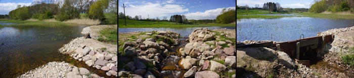 Geddefabrikker opstår når man skaber vilkår for at gedder, hvor de får optimale gyde- og opvækstområde for geddeyngel