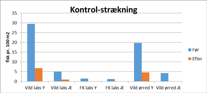 Tætheden af laksefisk i Von Å før og efter vinteren 2017/18. Y= yngel, Æ= ældre, FK = finneklippet/opdrættet på kontrolstrækning