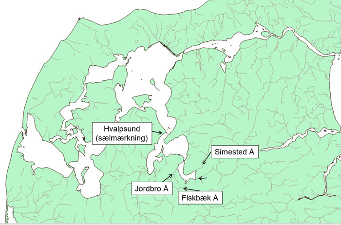Kort som viser udløb af Jordbro Å, Fiskbæk Å og Simested Å. Sælerne bliver mærket ved Hvalpsund.