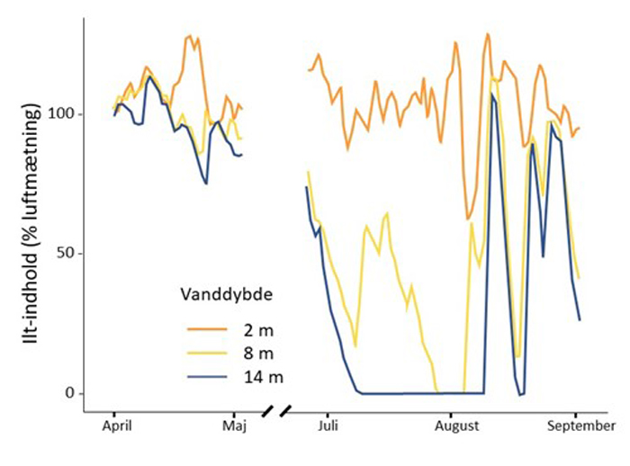 Ilt-indholdet (% mætning) i Kattinge Vig i sommeren 2018