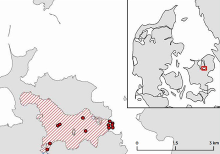 Kattinge Vig (rødt skraveret område) i den sydlige del af Roskilde Fjord.