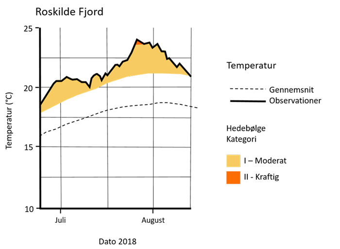 Overfladetemperaturer og kategorier af hedebølge i Roskilde Fjord i juli-august 2018