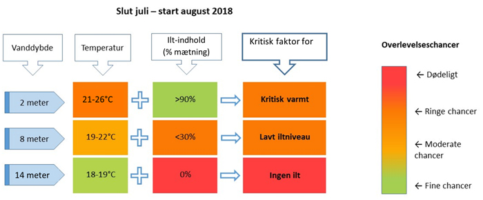 Vandforholdene for havørreder i Kattinge Vig fra slutningen af juli til starten af august 2018