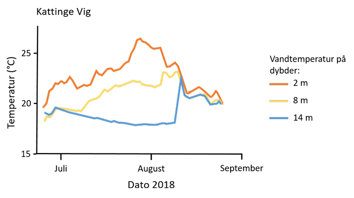 Vandtemperaturen i Kattinge Vig i juli og august 2018.