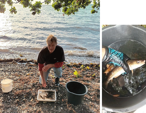 Frivilling hjælper samt torsk fanget i ålegræsområde