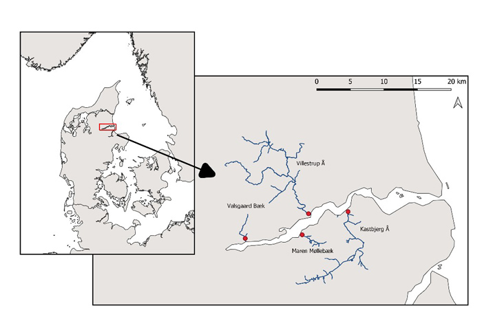 Kort over Mariager fjord, hvor undersøgelsen fandt sted.