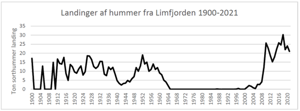 Landinger af sort hummer rapporteret i Limfjorden i perioden 1900-2021.