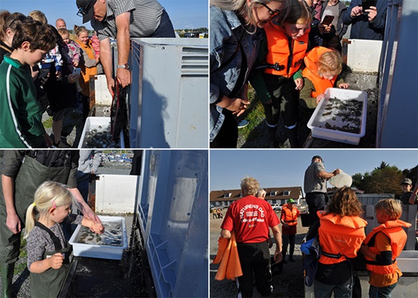 Stemningsbilleder fra udsætning af skrubber. Foto: Niels Lynggaard, Thy-Mors Fritidsfiskerforening.