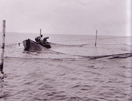 To fiskere tømmer bundgarn fra båd. Den ene benytter en såkaldt kese (en ketsjer/net på stang)