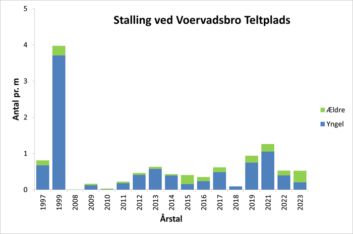 Diagrammet viser stallingbestanden på en 160 m lang strækning ved Voervadsbro teltplads