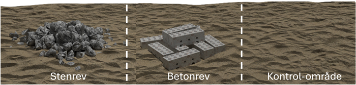 Undersøgelsen omfatter stenrev, betonrev og kontrol-områder
