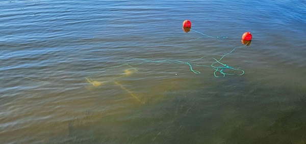 Undervandskamera lagt ud i Vejle Fjord
