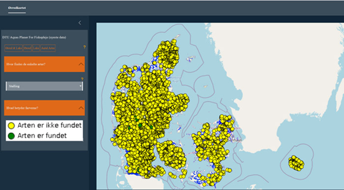 Kortet viser, hvor DTU Aqua har observeret stalling. Grønne prikker angiver lokaliteter med stalling, mens gule prikker viser steder, hvor arten ikke er observeret