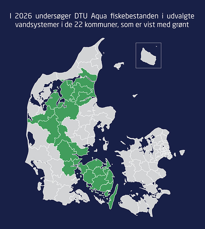 Kortet viser med grønt de kommuner, hvor der er vandløb, som skal have undersøgt fiskebestanden i 2026