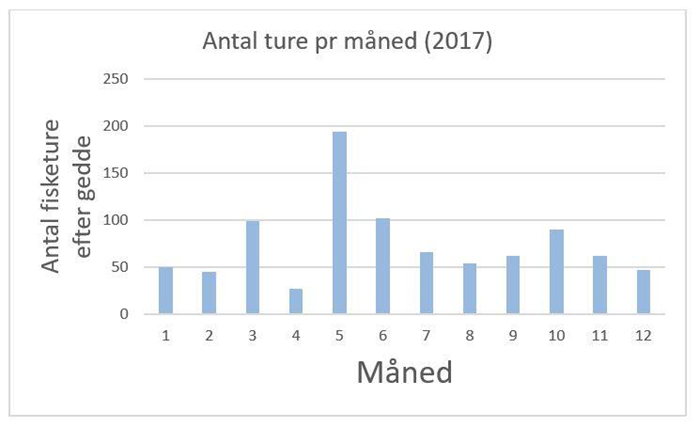 Geddefiskeri i 2017. Maj måned er højsæson.