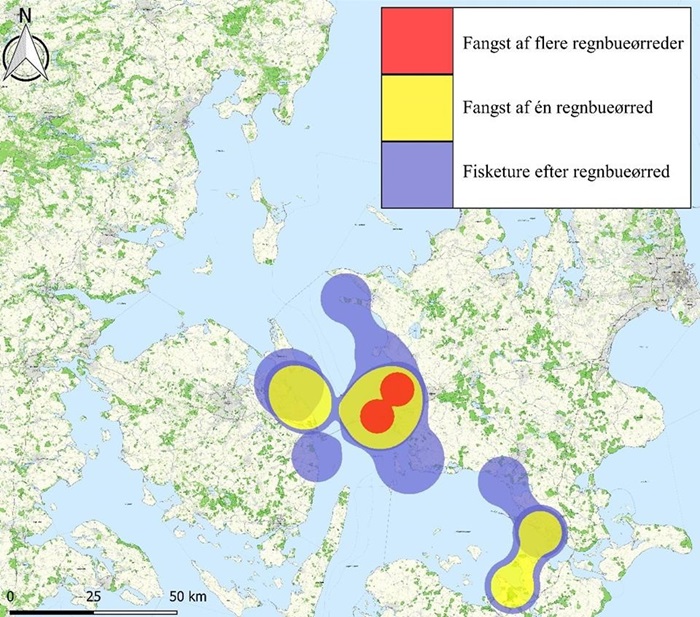 Regnbueørred - kort over fangst af undslupne regnbueørred 