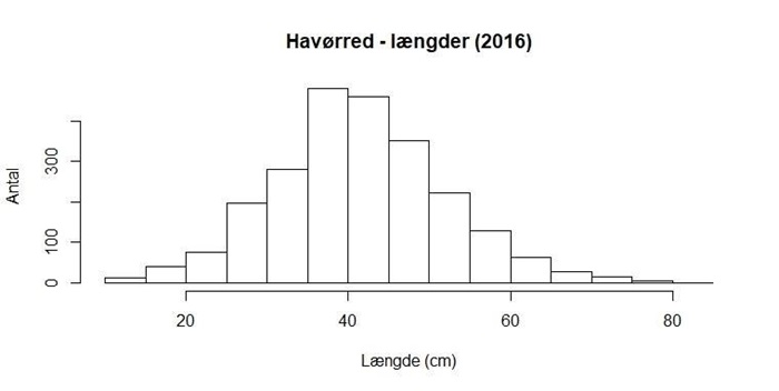 Længdefordeling af kyst havørreder indrapporteret i 2016.