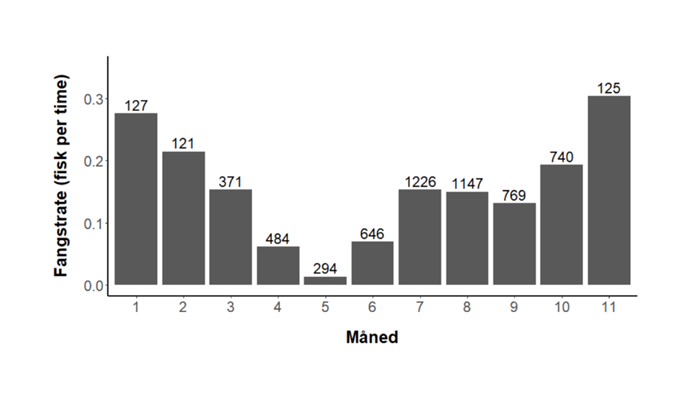 Fangst af havørred pr times fiskeri i løet af året. Tallene peger på større fangstchancer i de kolde måneder.